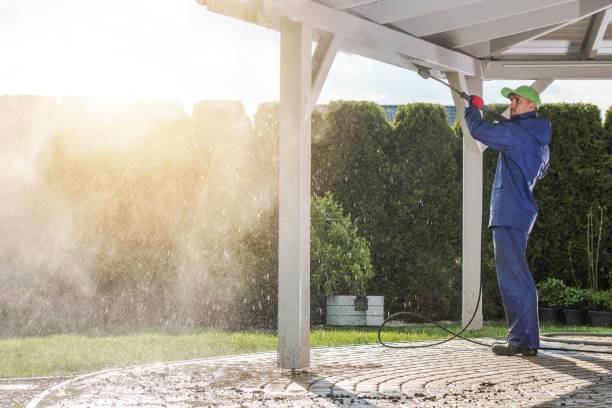 Best Rust Removal  in Kingston, IL