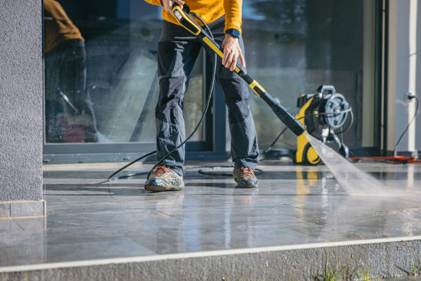 Best Roof Washing  in Kingston, IL